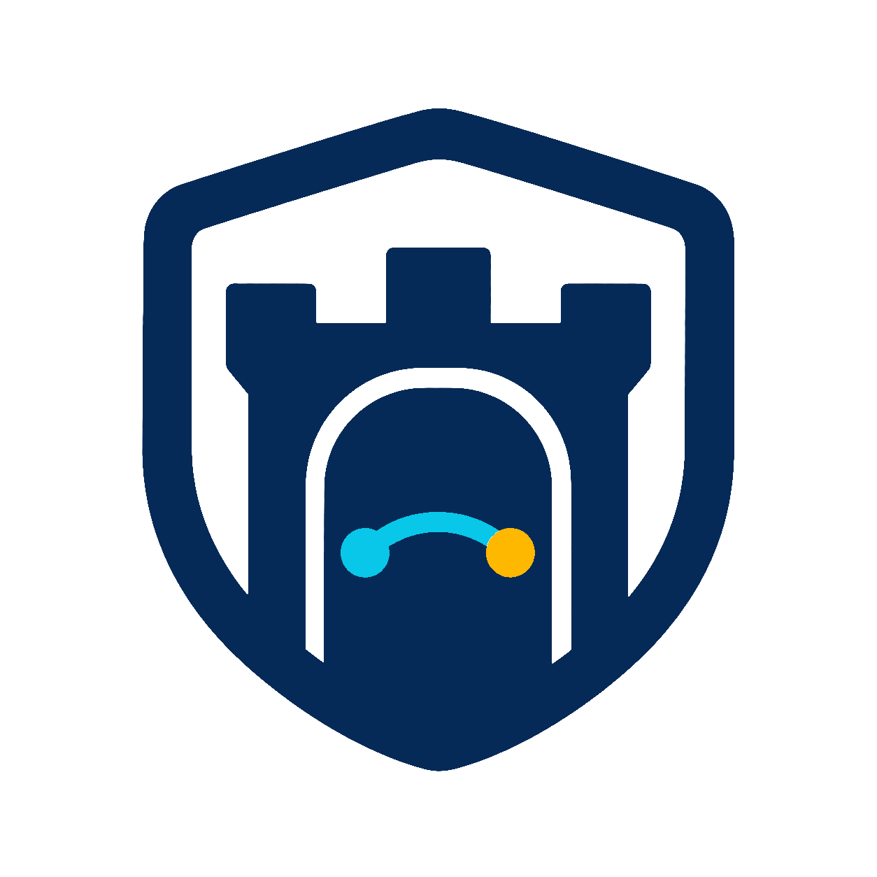 Логотип LSsoft Remote